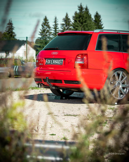 Anlage mit 2 Endrohren 100mm (Typ 25), inkl. (EG-) GENEHMIGUNG!