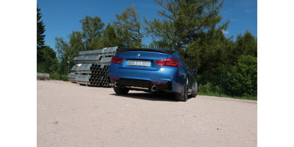 Sportschalldämpfer mit links/rechts je 1 Endrohr 100mm (Typ 25), inkl. (EG-) GENEHMIGUNG!